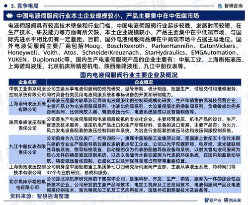 中国电液伺服阀行业发展现状调查、竞争格局及投资策略研究报告