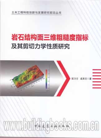 岩石结构面三维粗糙度指标及其剪切力学性质研究前沿
